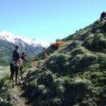 Cabalgata chalten santacruz argentina