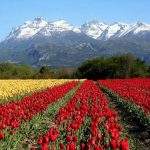 Montana nires sur chalten santacruz argentina