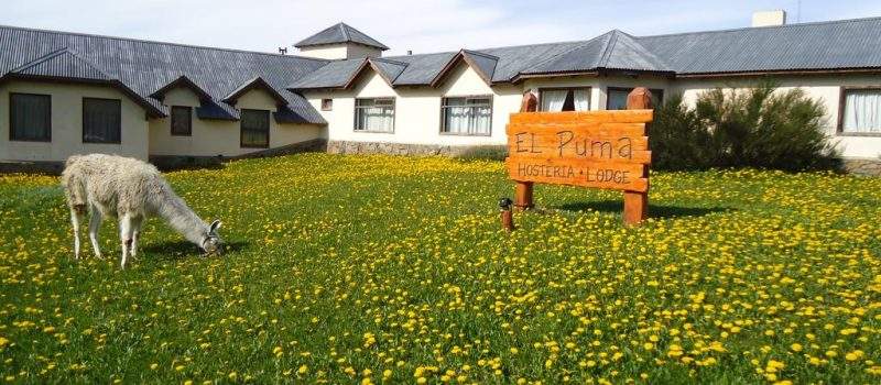 Parque Elpuma Chalten Santacruz Argentina Hotel El Puma Santa Cruz